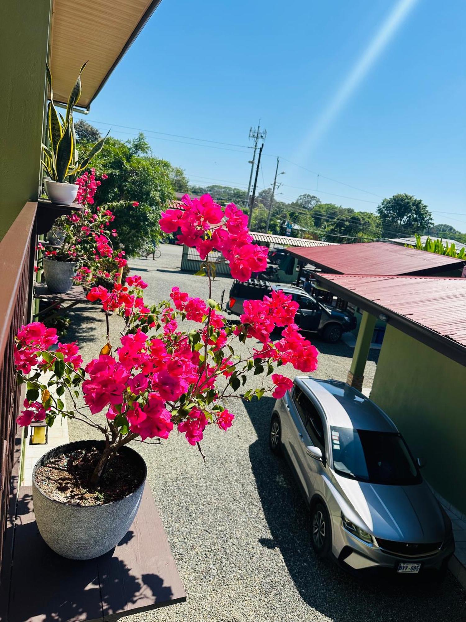 Hotel La Fiore De Bahia 우비타 외부 사진