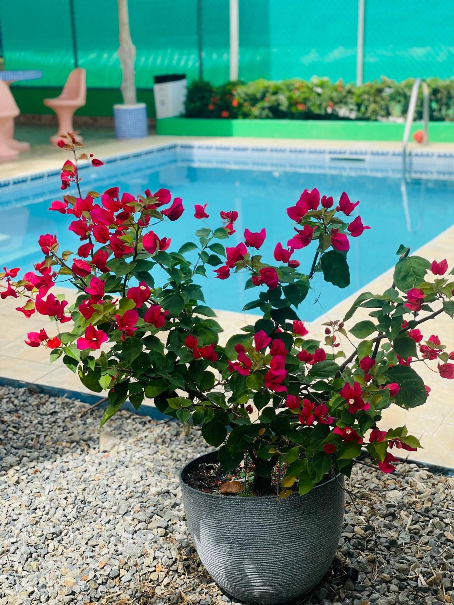 Hotel La Fiore De Bahia 우비타 외부 사진